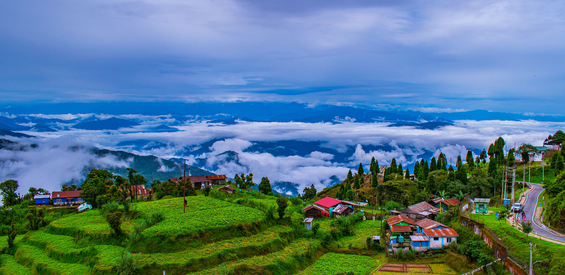 INTERNATIONAL TRIP OFFER